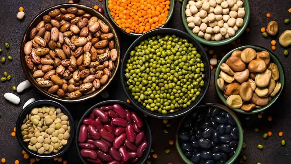 راهنمای قیمت پایین حبوبات در زنجان