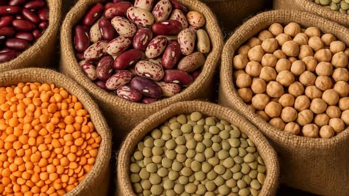 راهنمای کامل خرید حبوبات با کیفیت در زنجان از بازرگانی کاظم زاده فرد