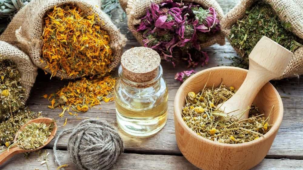 راهنمای خرید گیاهان دارویی مرغوب از بازرگانی کاظم زاده فرد